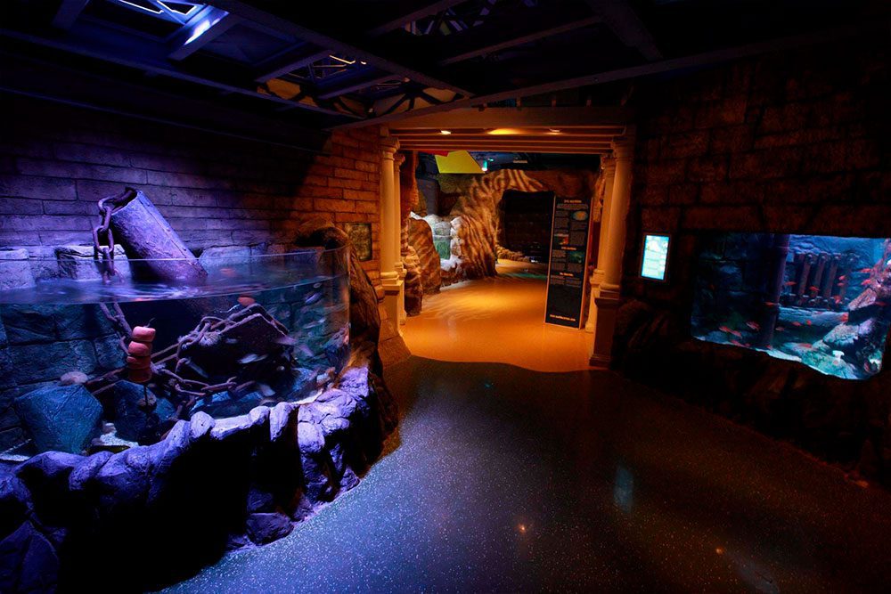 Sealife Aquarium - Porto House - Porto House, Oporto Holidays Rent ...